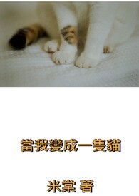 当我变成一隻猫